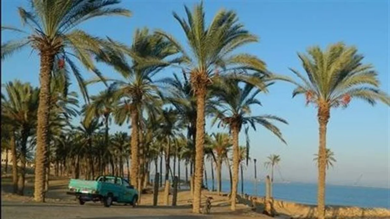 طقس شمال سيناء.. انخفاض ملحوظ في الحرارة مع نشاط الرياح والعظمى 20 درجة